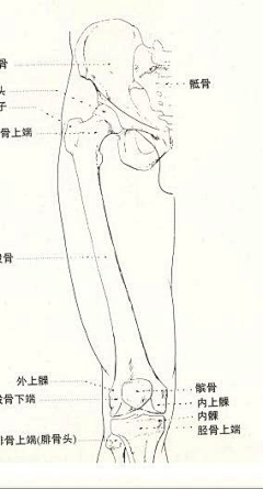 玩火尿炕采集到§R教学 —— 膝裆臀腿胯