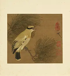 今日一赏～松枝黄鹂图 - 小红书