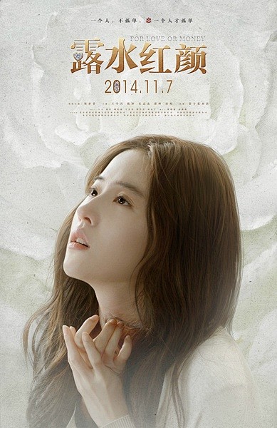 20141117露水红颜海报
