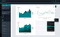 A Tool For Building Beautiful Data Visualizations : Visage makes infographics easy, and they customize palettes for free.