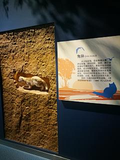 七月Design采集到图片