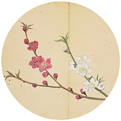 枕上诗书：一本书读懂最美诗经-徐若央-微信读书 : 有一种美叫《诗经》，一生至少读一次。 孔子说“诗三百，一言以蔽之，思无邪”，即诗经三百篇，可以用一句话来概括，就是“无不出自真情”。所以，古典文学入门者，诗经。 《枕上诗书：一本书读懂*美诗经》精选诗经中的经典篇目，深度解析，以故事的形式让读者融入其中，完全理解每一篇诗经的内涵与深意。本书【完全不同于其他诗经解析版本】，全书用通俗而唯美、完全还原诗经内涵的一个个故事，简单直接、通俗易懂、讲懂讲透诗经。