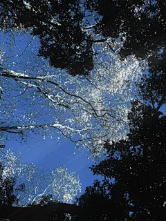 @存图君 的个人主页 - 微博