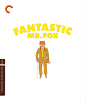 了不起的狐狸爸爸 Fantastic Mr. Fox (2009) (500×619)