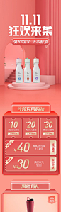 双十一