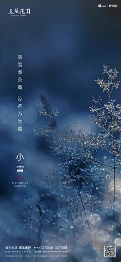 羽辉~采集到小雪节气海报