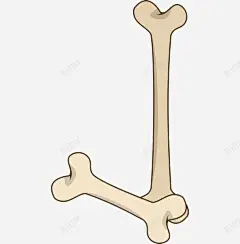 手绘卡通骨头创意字体英文字母J 英文字母J 骨头字体 元素 免抠png 设计图片 免费下载 页面网页 平面电商 创意素材
