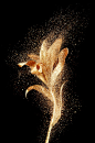 Gold_Dust_Flower_16_136g_1_3.jpg (530×800)