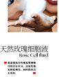 东边野兽氨基酸净润洁颜蜜玫瑰清洁洗面奶洁面温和不刺激-tmall.com天猫