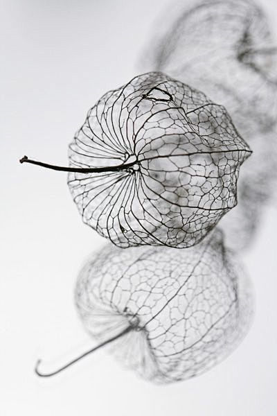 Bild: Brita Stein - ...