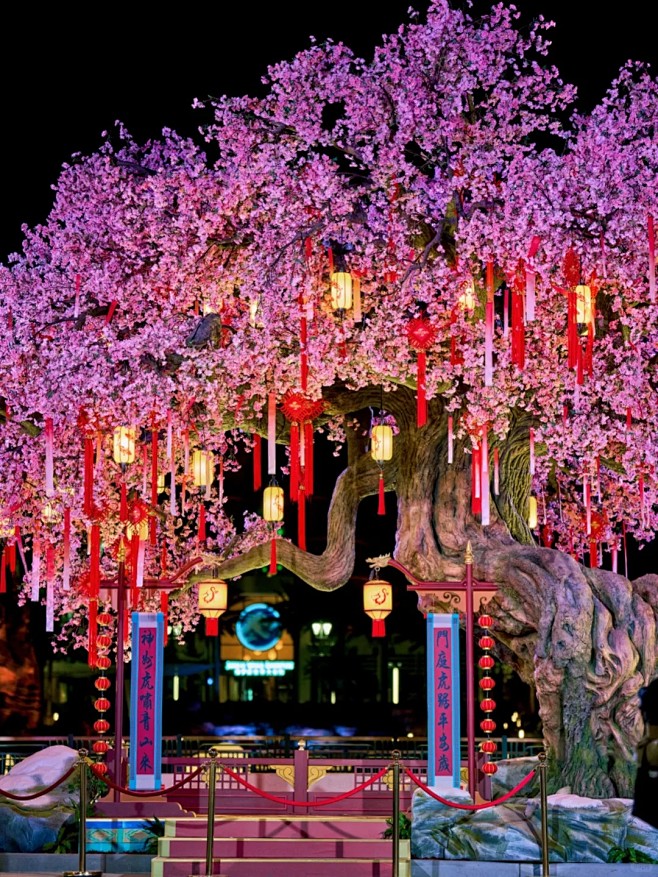 北京环球影城桃花许愿树夜景拍照最佳机位_...