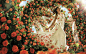 女子花模型艺术品白色礼服玫瑰时尚摄影女孩性质拱门尤利亚萨乌莱斯 - 壁纸（#2229158）/ Wallbase.cc