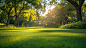 benl0092_A_serene_outdoor_setting_with_a_lush_green_lawn_under__d1c95c76-f41f-4ce8-86b4-d249879a0c81