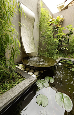 adsho采集到水景