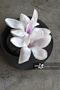 White magnolia flowers in black bowl_创意图片