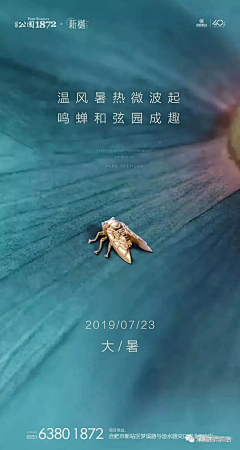 小菊据采集到大暑