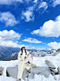 达古冰山