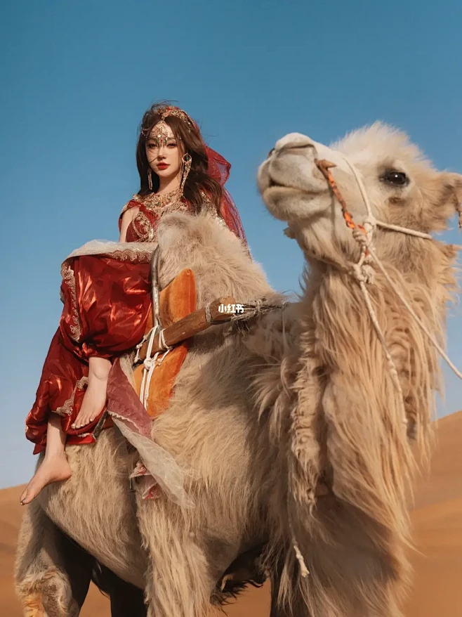 今年的旅行计划就是到敦煌骑骆驼