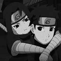 头像 | 晚上的我了不起 早上的我起不了 : 头像、壁纸、背景图、表情包，你想要的我都有！