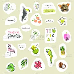 水果,动物,标签,鸡尾酒,动物手,贺卡,热带气候,椰子,绘制,画画