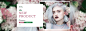 banner_吴佳旭_【68Design】