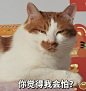 你觉得我会怕？