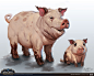 World of Warcraft - Pigs Concept, Matthew McKeown : Concept for new pigs and baby pigs in Battle For Azeroth.