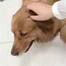 JINE_惊蛰