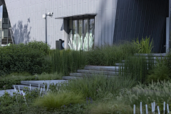 WY铭采集到植物氛围