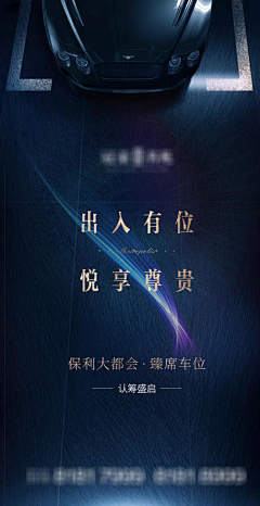 ＡceＳword采集到视觉-车位