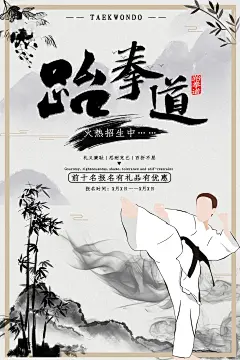 时尚跆拳道宣传海报40
