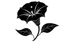 图源免费EPS文件 |月光花矢量剪影插画