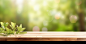 wooden tables on window deck in the garden, with leaves and plants on table top photo ogv, in the style of bokeh panorama, uhd image, vignetting, 1970–present, light yellow, engineering/construction and design, clear edge definition