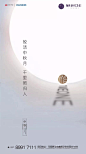 苏绪柒