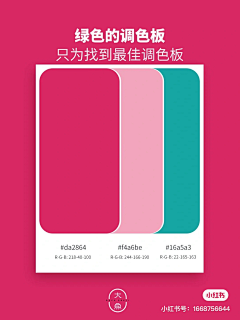 MACuQFgY采集到图