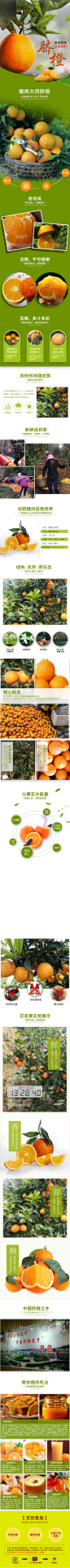 赣州寻乌脐橙 - 副本