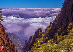 M丶墨水王爷~采集到风景