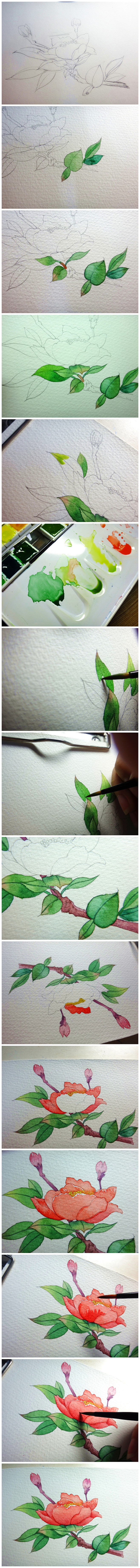 山茶花小过程-小喵小姐_水彩,插画_涂鸦...