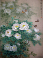 刘菊清工笔花鸟
