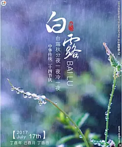 白露海报