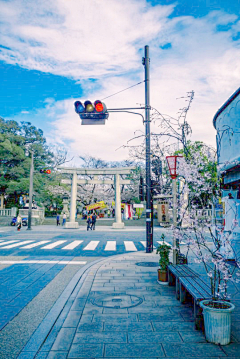 M大宝采集到日式风景