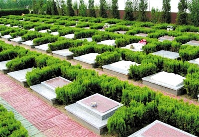 沪公墓限售用地仅剩2000亩 市民半夜排...