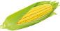 玉米 甜玉米