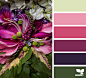 Design Seeds : Design Seeds color palettes ... posted daily for all who love color.