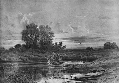 风景的绝唱 -- 希施金全集 。3. - 画画老马 - 画画老马