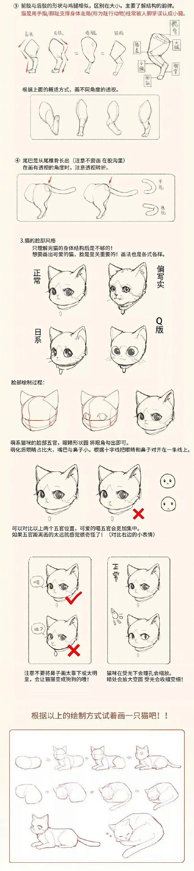 _ 轻微课 _ 哔哩哔哩相簿
