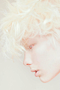 Igor Klepnev - Cream, 2#采集大赛#