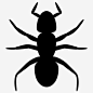 蚂蚁虫子蚁群昆虫害虫图标_88ICON https://88icon.com 蚂蚁 虫子 蚁群 昆虫 害虫