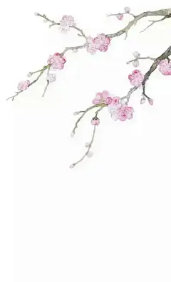 每天几张精美壁纸 哔哩哔哩兴趣圈，二次元兴趣交友社区