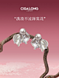 @CIGALONG龙梓嘉 的个人主页 - 微博